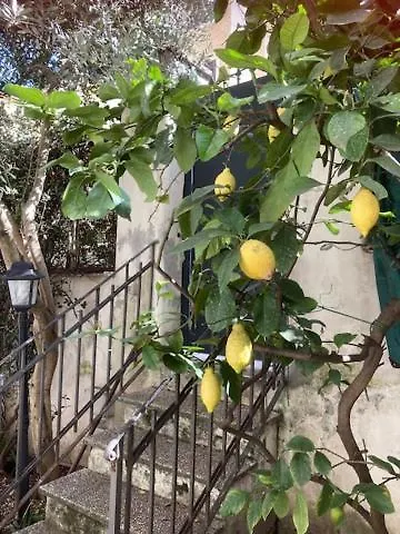 Casa Priscilla Apartment Rome